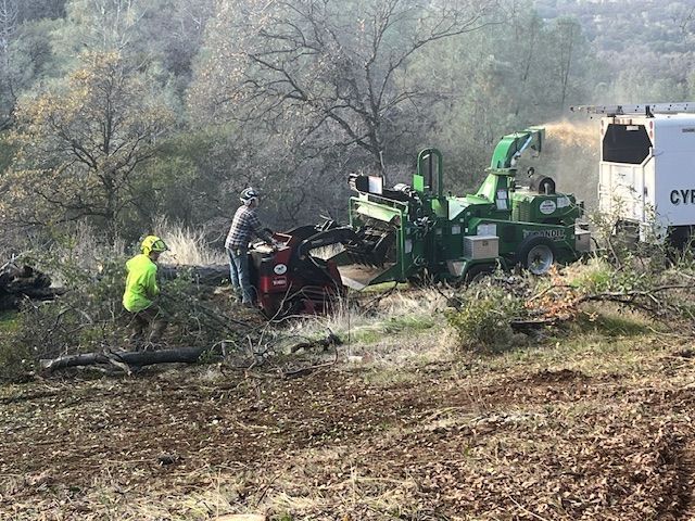 All Phase Land Clearing Grass Valley