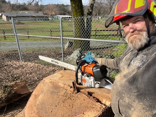 Cyrus Tree Service's Tree Trimming Services in Grass Valley
