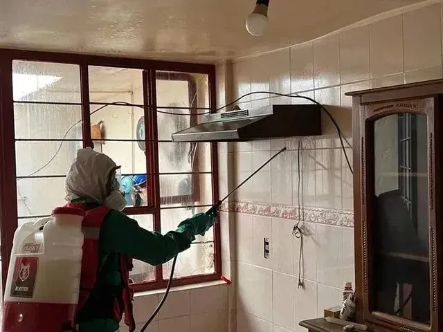 ASELIM CONTROL Y ELIMINACIÓN DE PLAGAS