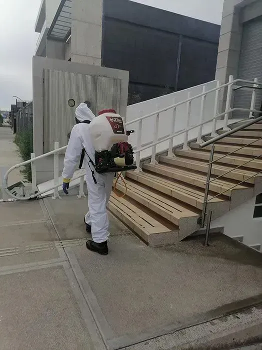 ASELIM CONTROL Y ELIMINACIÓN DE PLAGAS