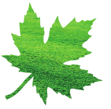 groundcare-leaf