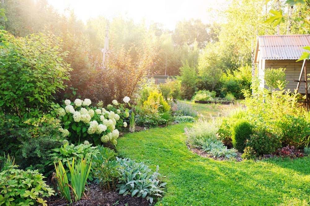 a garden filled with lots of plants and flowers