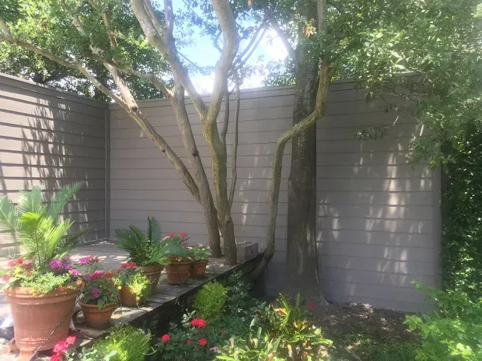 Potted flowers and greenery surround a tree growing next to a gray wooden fence in an outdoor setting.