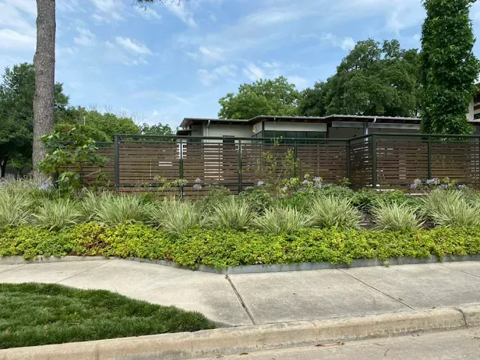 Lush garden bed in front of a wooden fence; a modern home sits behind the fence on a sunny day.