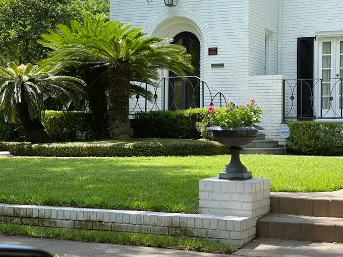 Lush green lawn in front of a white brick house with palm trees, shrubs, and a flower pot.