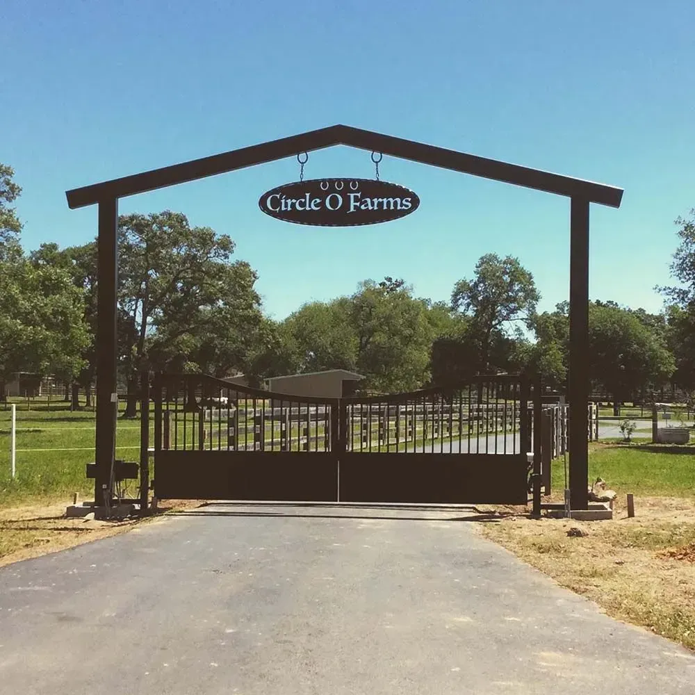 Black metal gate with 