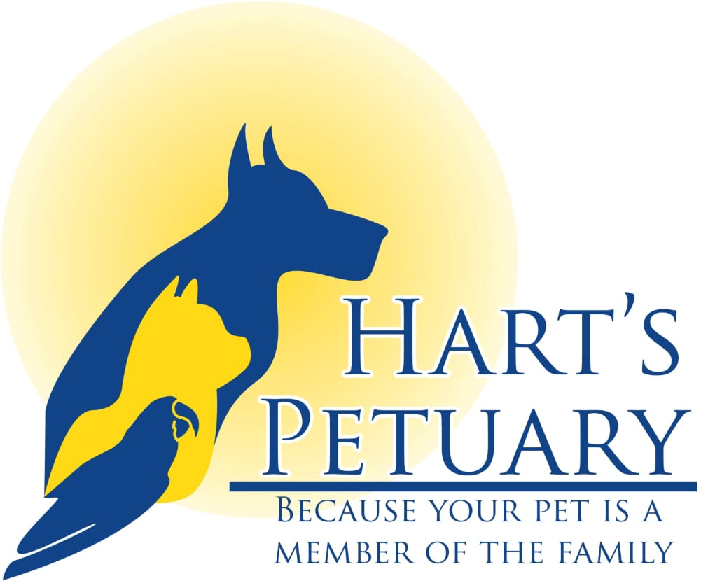 logo-image