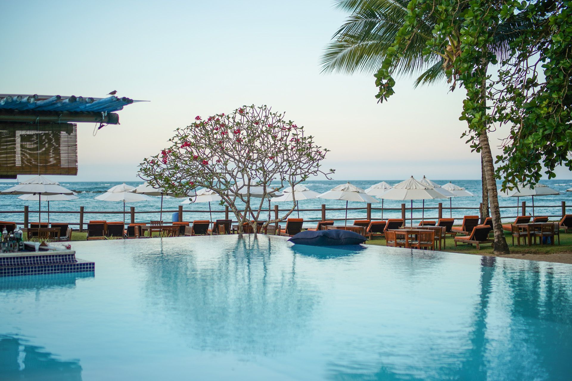 Piscina com vista para o oceano, com guarda-sóis, árvores e mesas; céu nublado.