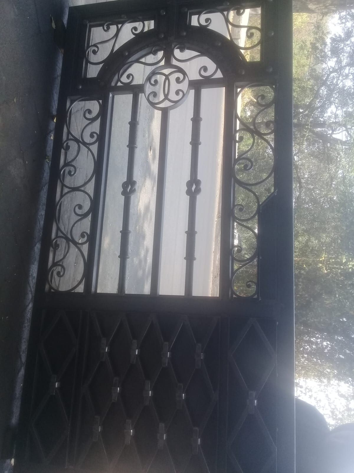 Una puerta de hierro forjado con un reflejo de árboles en ella.