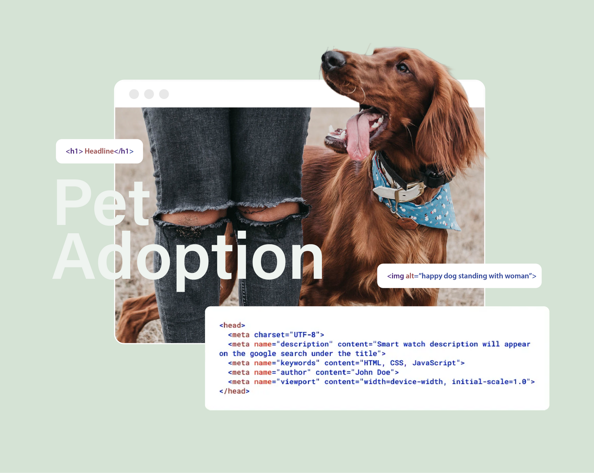 A web design mockup featuring an Irish Setter dog, the title 