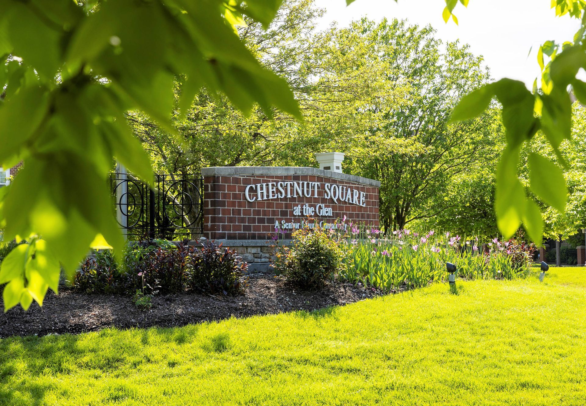 Senior Living Care — Dining Area in Glenview, IL