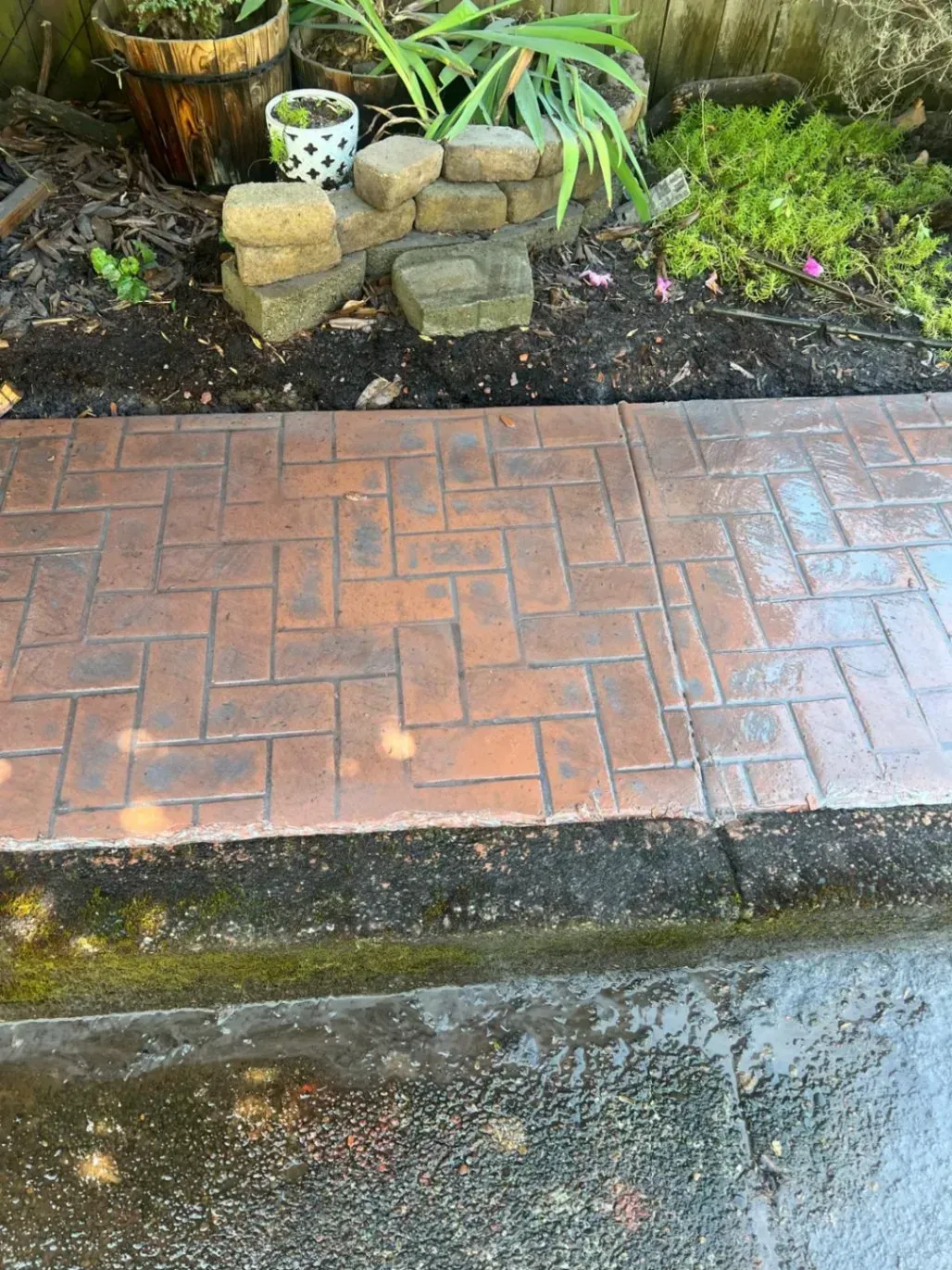 A brick walkway with potted plants in the background.