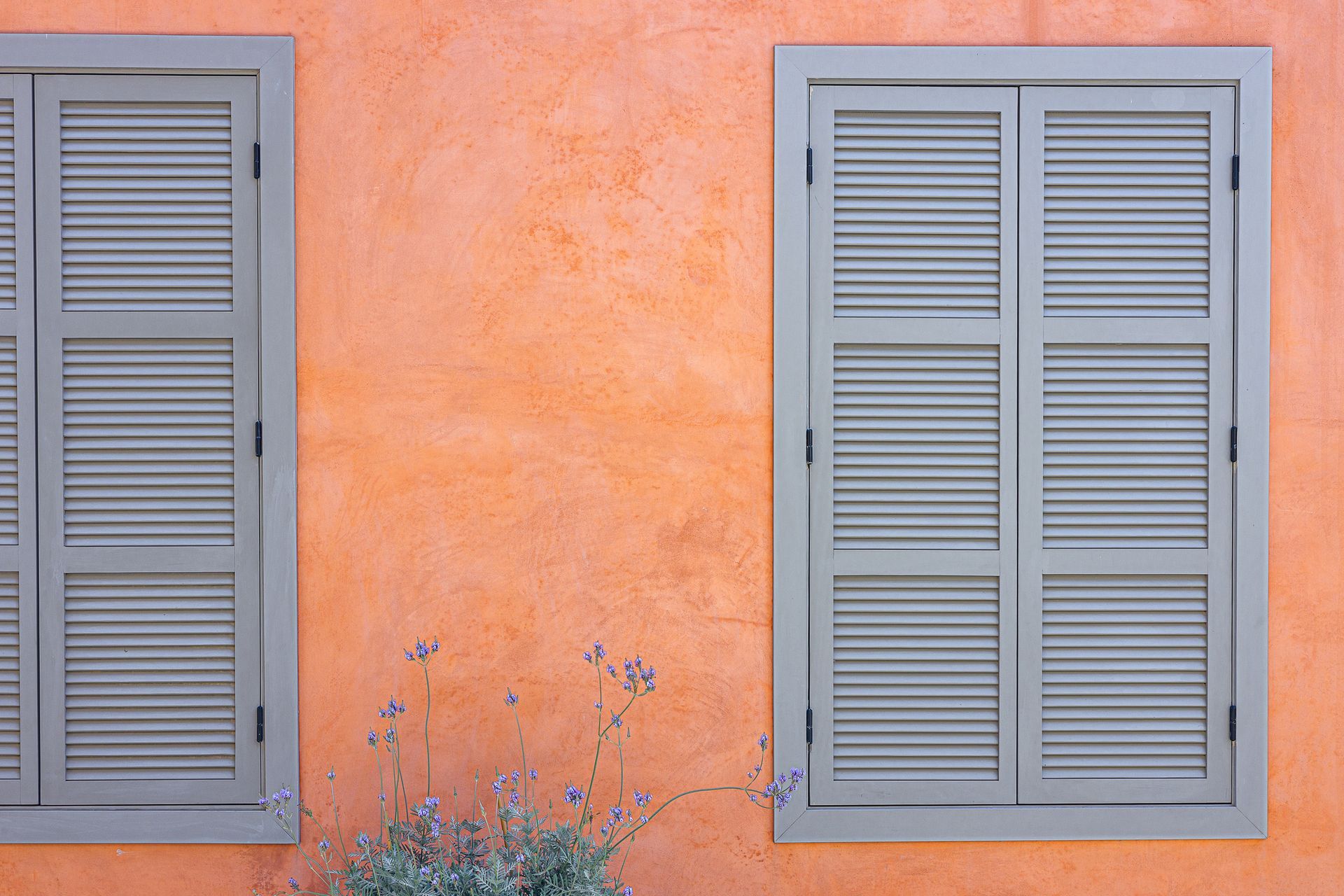 Two gray shuttered windows on an orange stucco wall, small lavender plants in front.