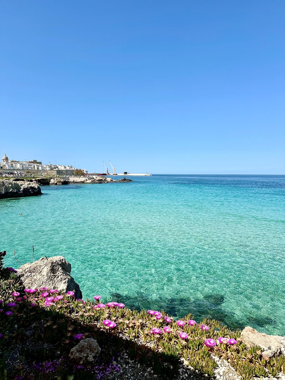 L'acqua turchese e limpida incontra un cielo azzurro brillante. Edifici bianchi costeggiano la costa rocciosa, incorniciati da fiori rosa.