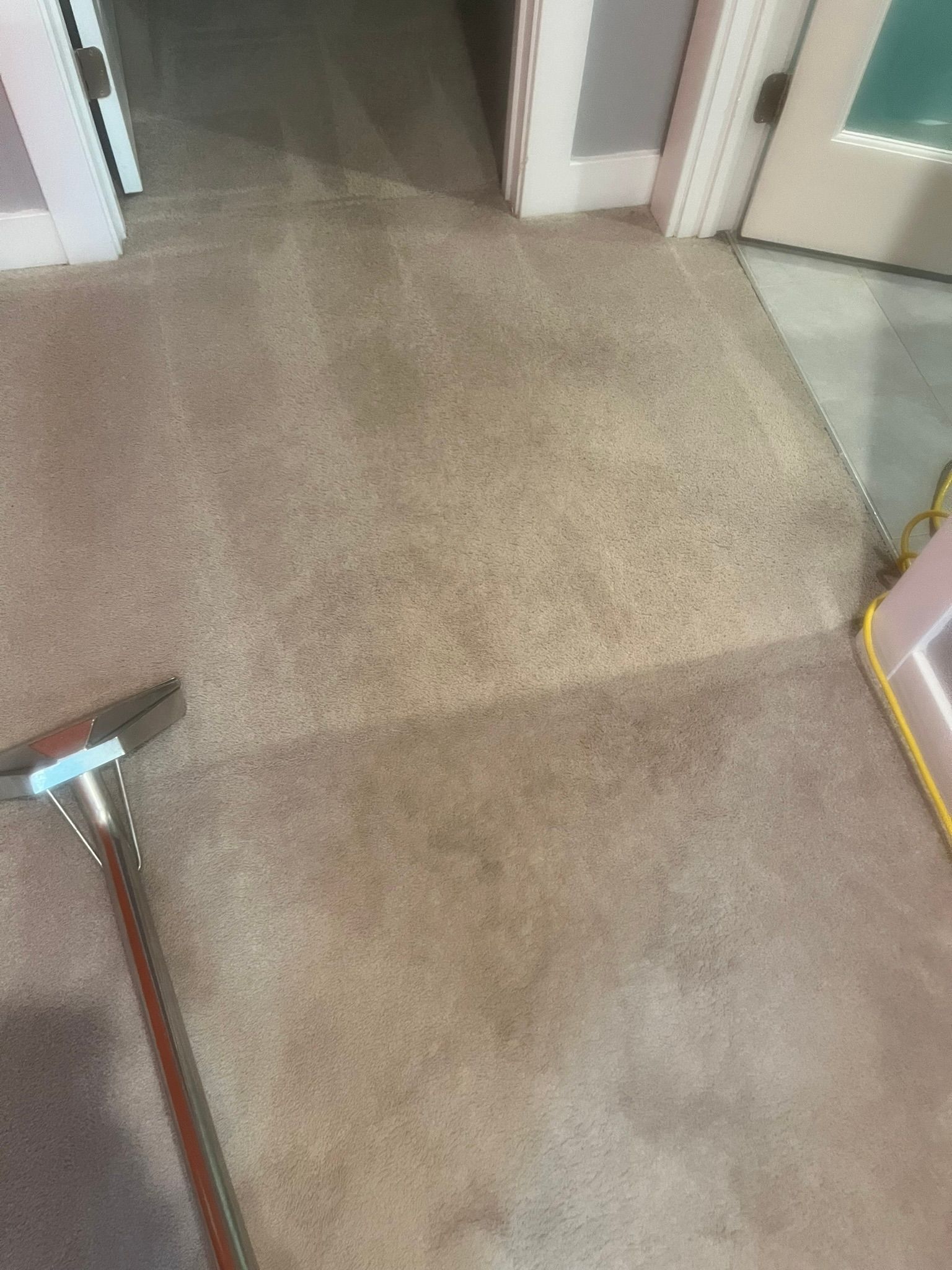 Carpet being cleaned with a carpet cleaner; the area is beige and the machine is visible.