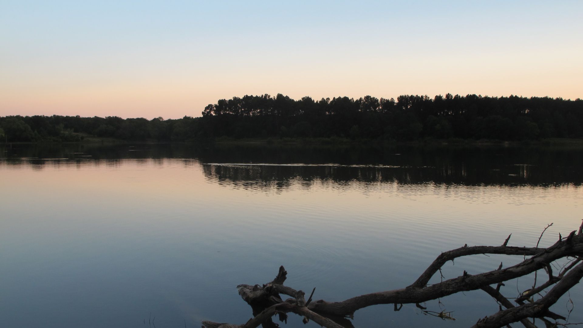 A large body of water with trees in the background