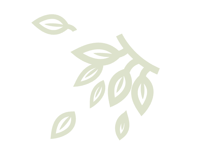 icon green leafs
