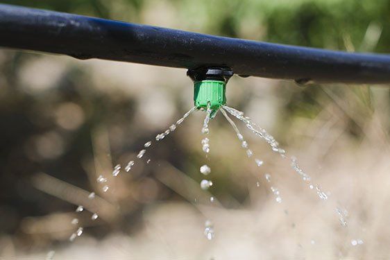 Drip Irrigation — Lynams Landscapes In Jensen QLD