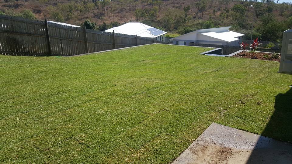 Man Laying Grass Turf — Lynams Landscapes In Jensen QLD