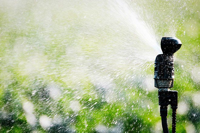Sprinkler — Lynams Landscapes In Jensen QLD