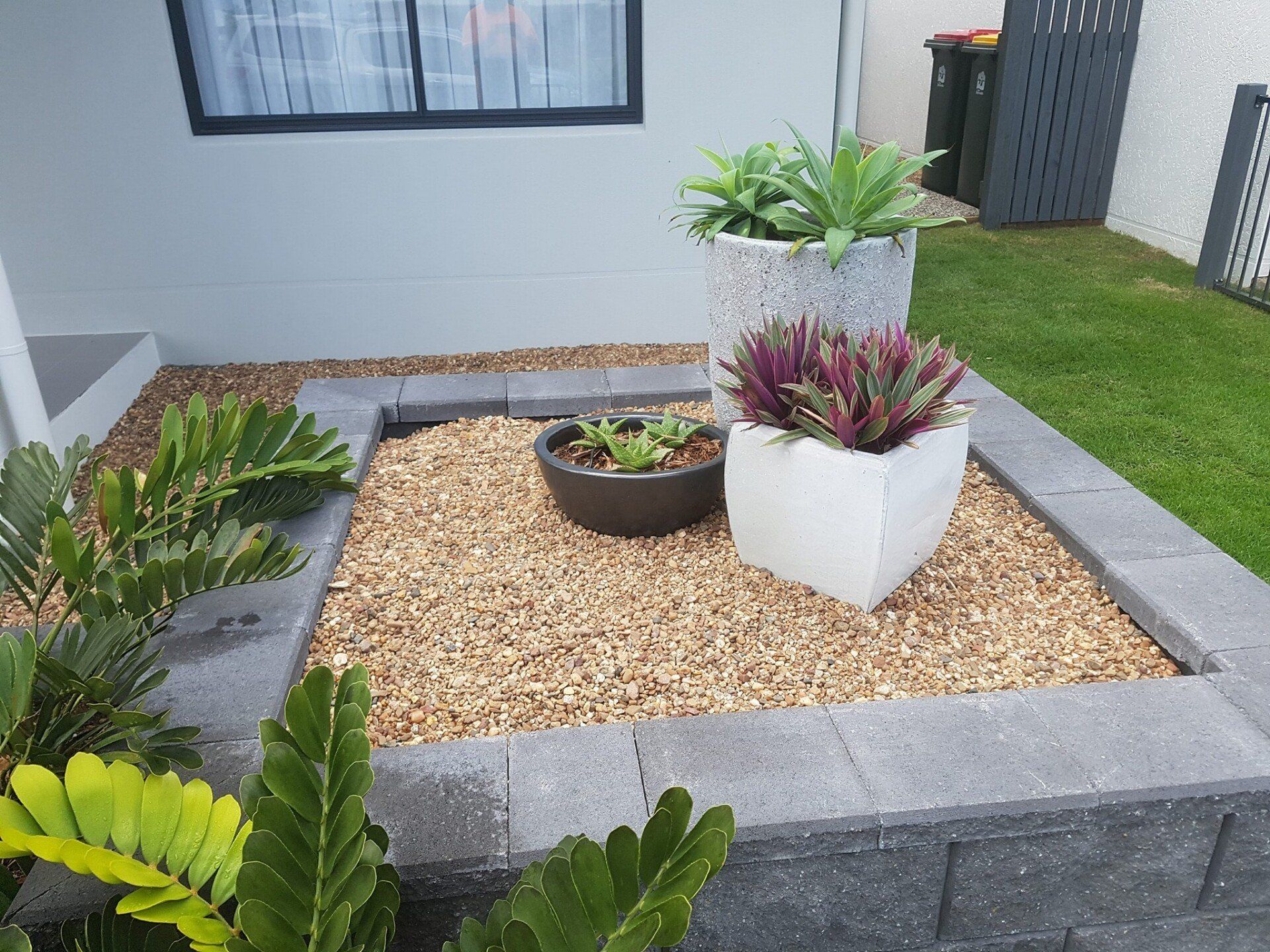 Laying Turf — Lynams Landscapes Pty Ltd in Jensen, QLD