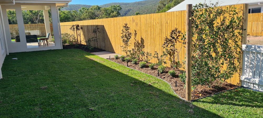 A Backyard With a Wooden Fence and a Lush Green Lawn — Lynams Landscapes Pty Ltd in Northern Beaches, QLD