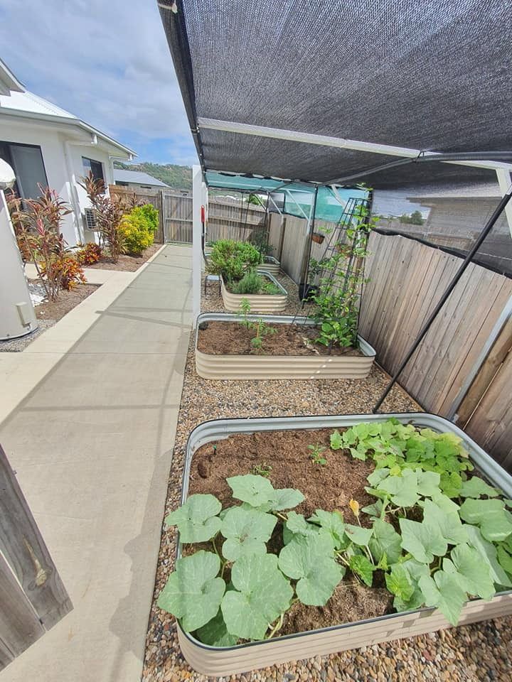 A Row of Raised Garden Beds Filled With Plants Under a Canopy — Lynams Landscapes Pty Ltd in Castle Hill, QLD