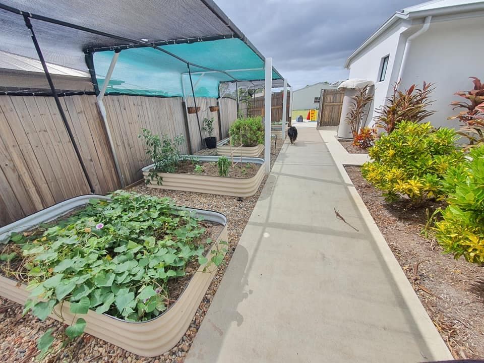 A Dog is Walking Down a Sidewalk Next to a Garden — Lynams Landscapes Pty Ltd in Alligator Creek, QLD