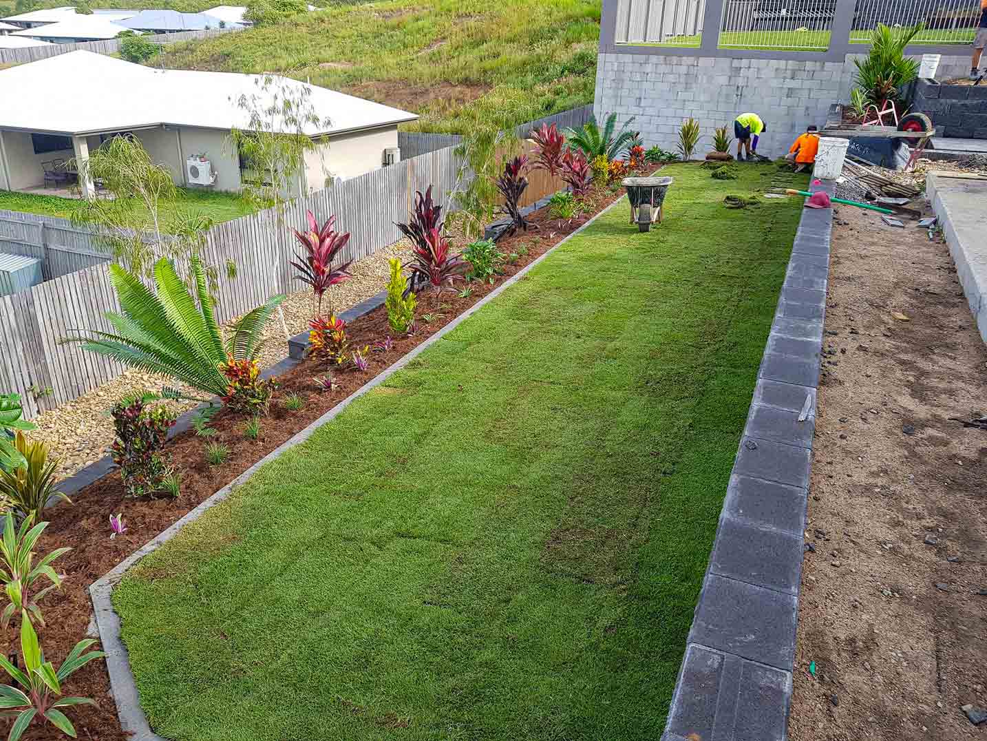 Manicured Lawn — Lynams Landscapes Pty Ltd in Jensen, QLD
