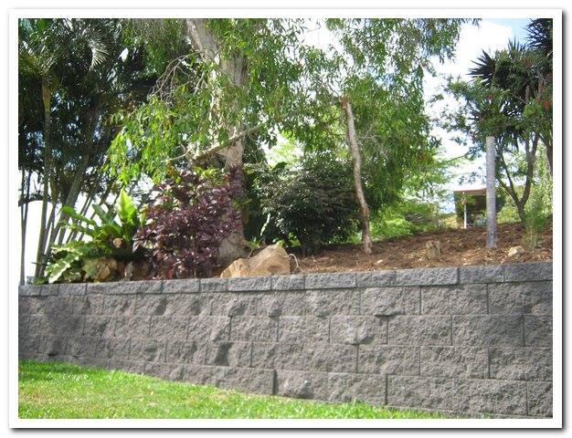 Concrete Retaining Wall and Garden— Lynams Landscapes Pty Ltd in Jensen, QLD