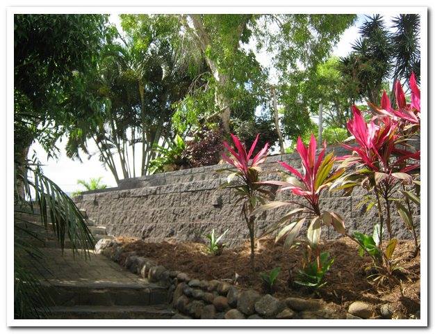 Concrete Wall with Plants — Lynams Landscapes Pty Ltd in Jensen, QLD