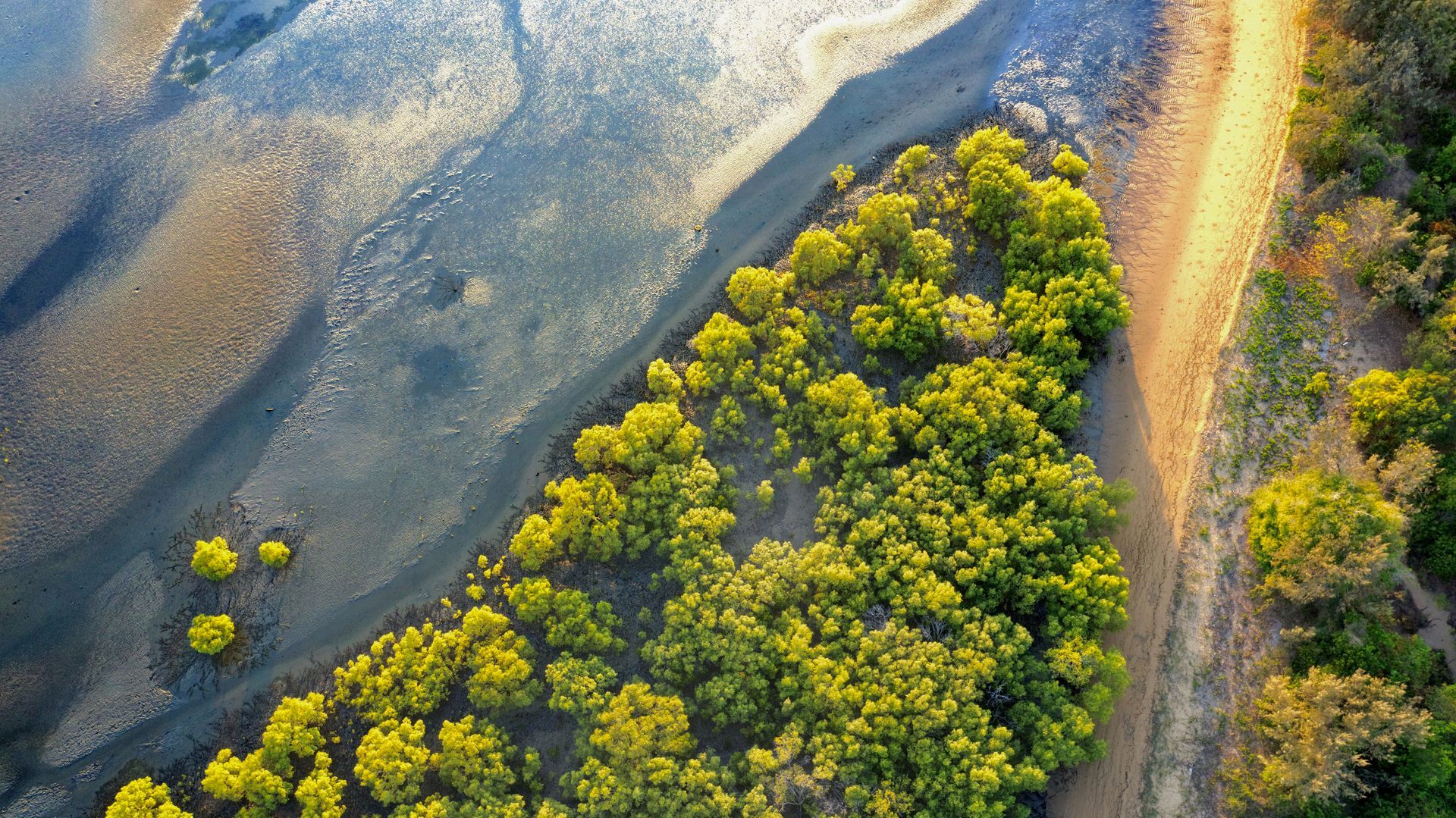 An aerial view of a river surrounded by trees and a dirt road — Lynams Landscapes Pty Ltd in Bushland Beach, QLD