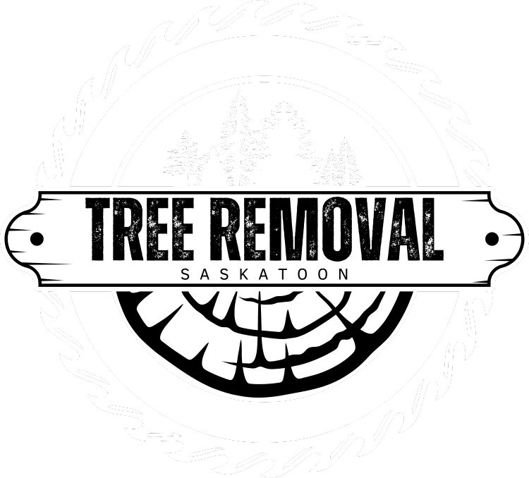 Tree Removal Saskaton