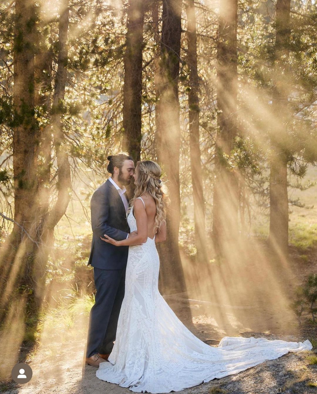 alterations under tree