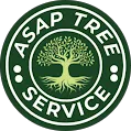 Logo of ASAP Tree Service