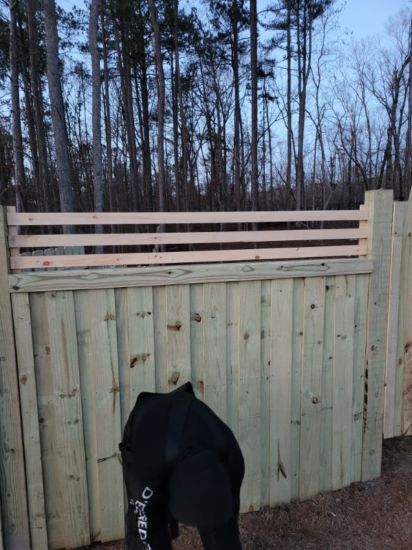 A person bending over, wearing a black jacket, in front of a wooden fence with horizontal slats on top. Trees are visible in the background.