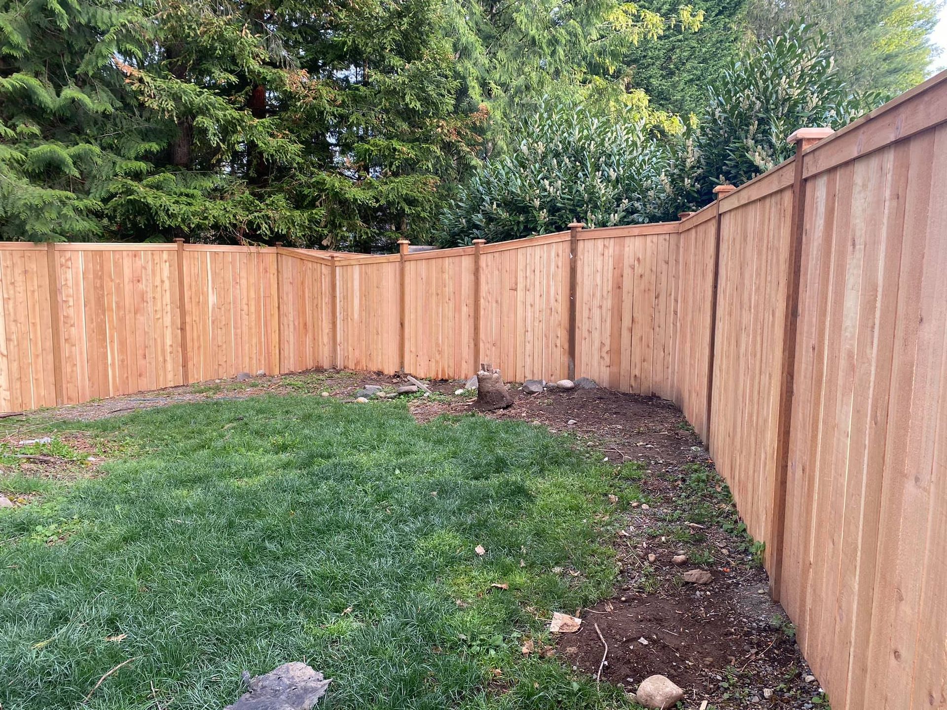 A wooden fence surrounds a lush green backyard.