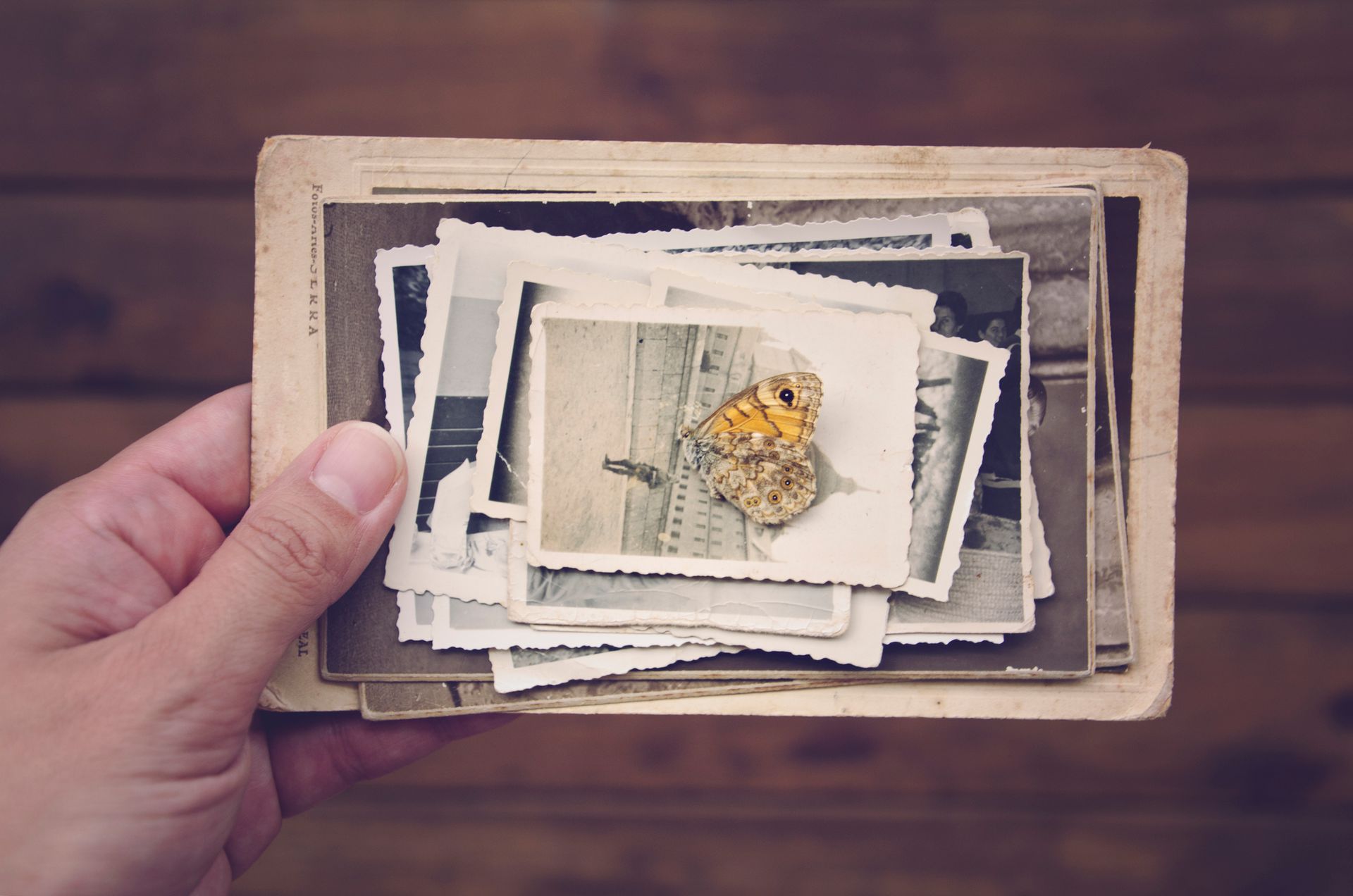 Hand holding a stack of old, faded photographs on a wood background; includes a photo of a butterfly.