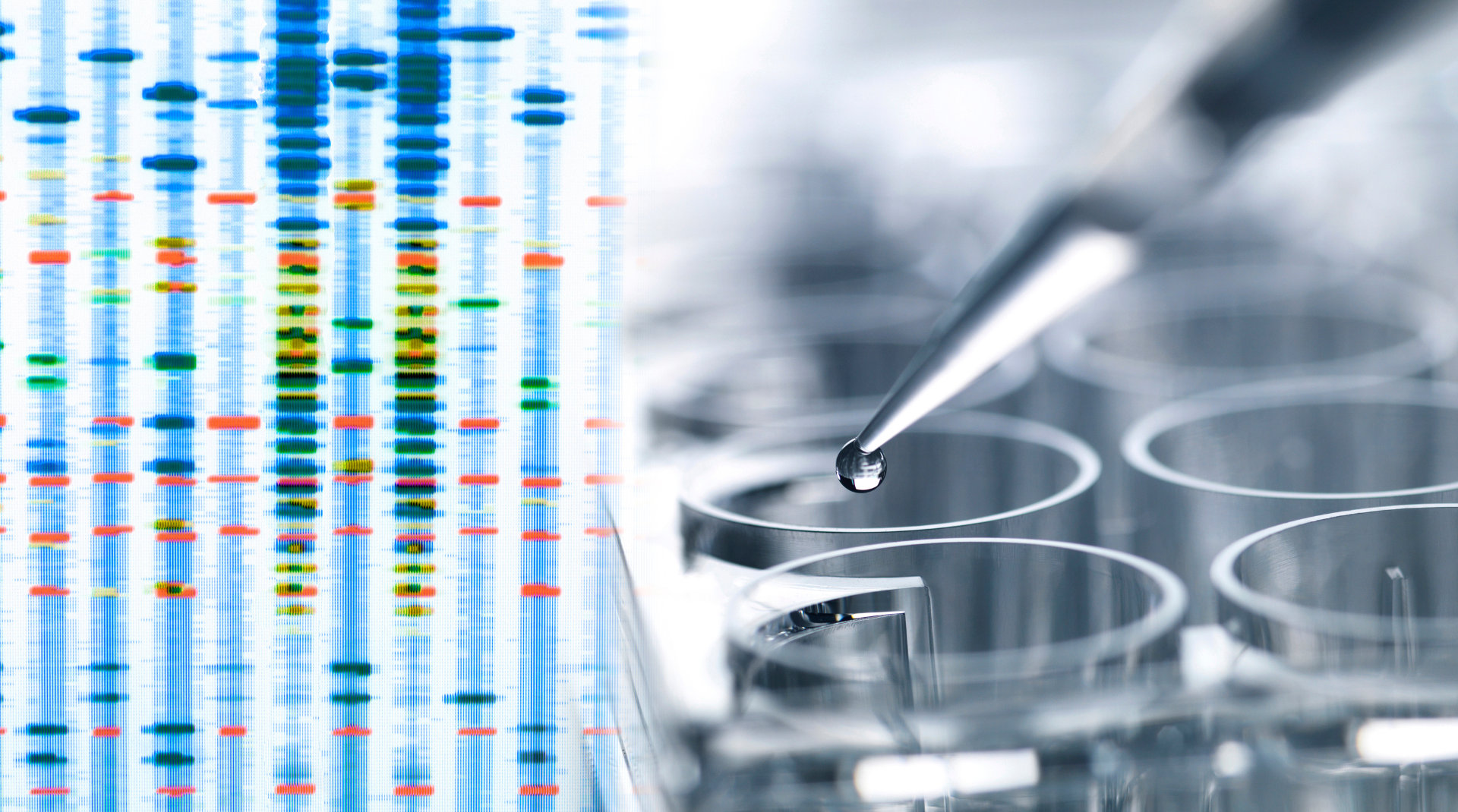 How Does Biocompatibility Testing Impact Dental Treatment?