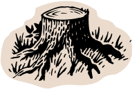 Tree stump