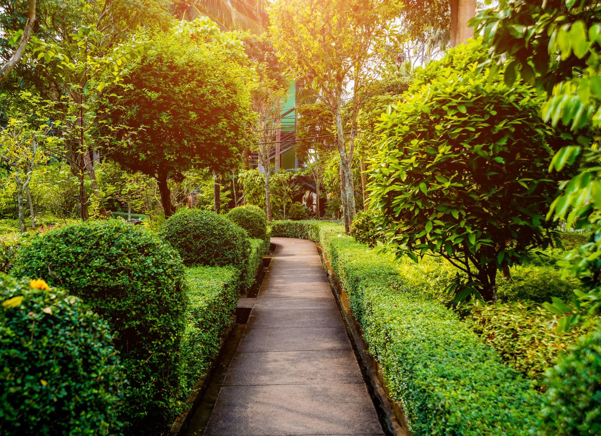 Stone pathway through a garden lined with trimmed green bushes and trees, bright sunlight. Stone pathway through a garden lined with trimmed green bushes and trees, bright sunlight.