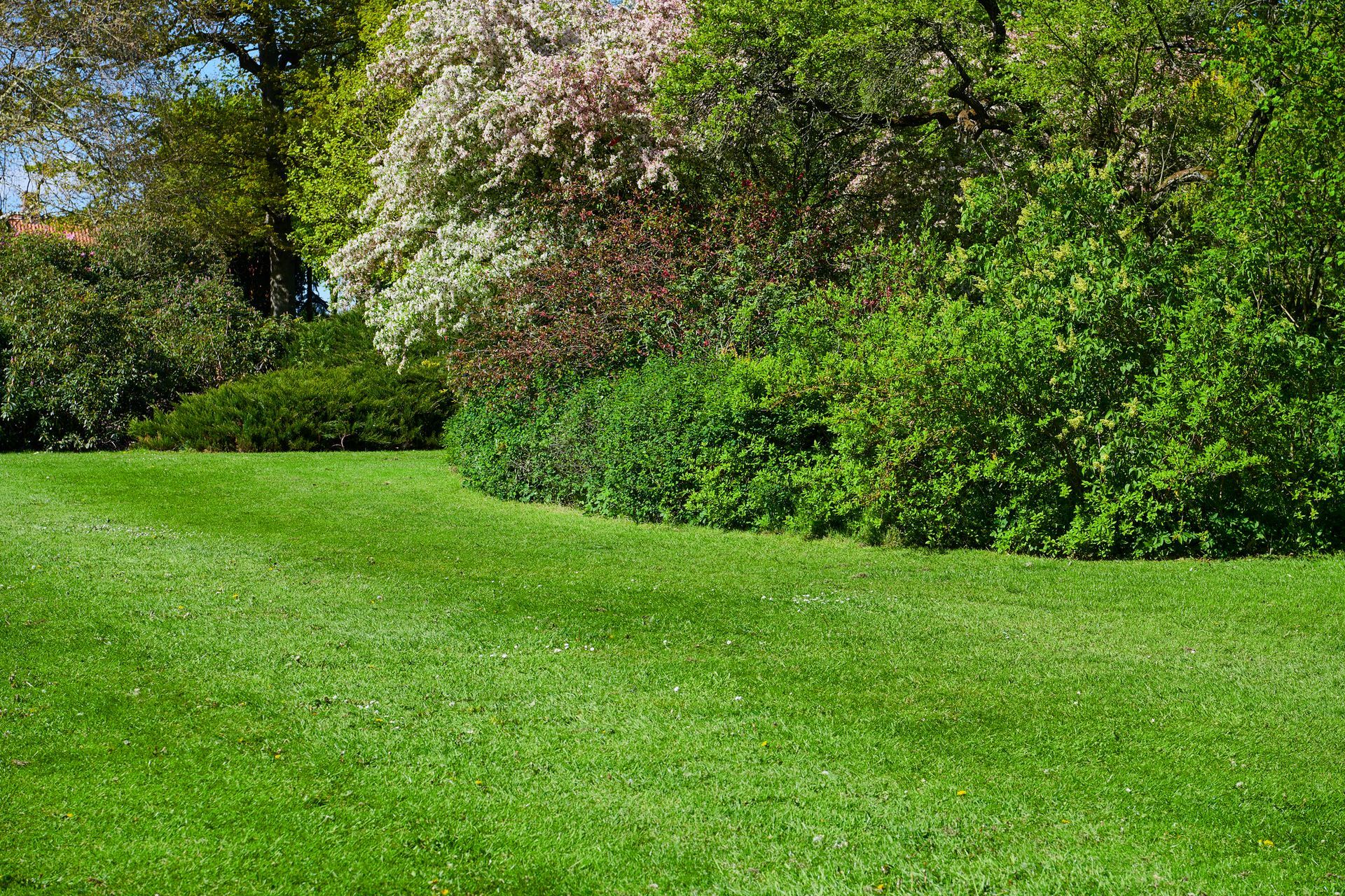 Person mowing a patchy green lawn with a green lawnmower in a yard. Person mowing a patchy green lawn with a green lawnmower in a yard.