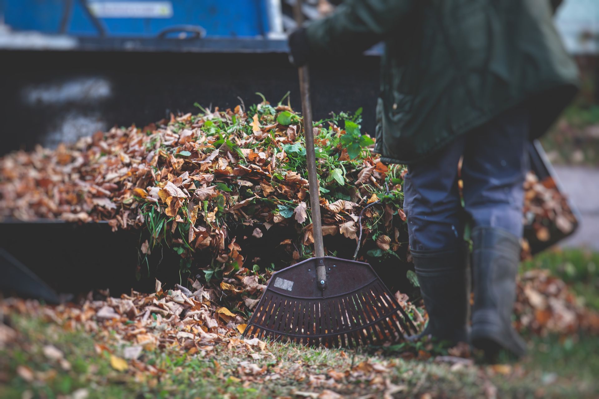 Person raking leaves into a truck bed. Brown and green leaves. Green jacket and boots. Person raking leaves into a truck bed. Brown and green leaves. Green jacket and boots.