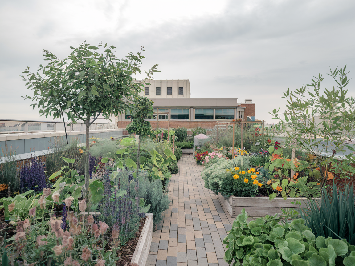 什麼房子不要買？買這8種房子，絕對吃大虧！結構安全堪憂、難轉售、貸款困難的血淚談