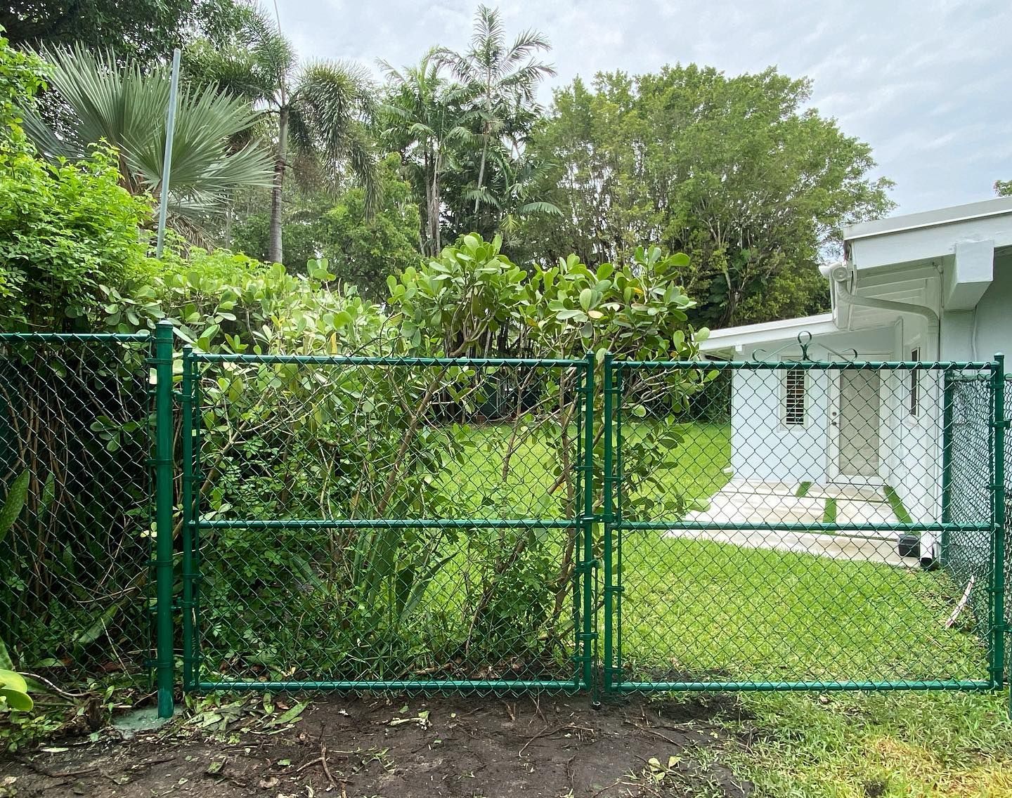 A green chain link fence is surrounding a white house.