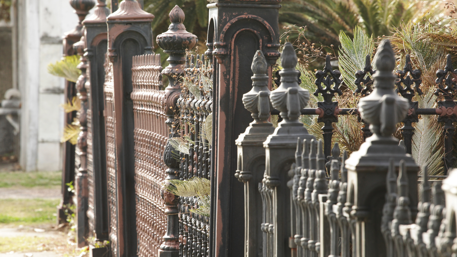 A close up of a wrought iron fence with palm trees in the background