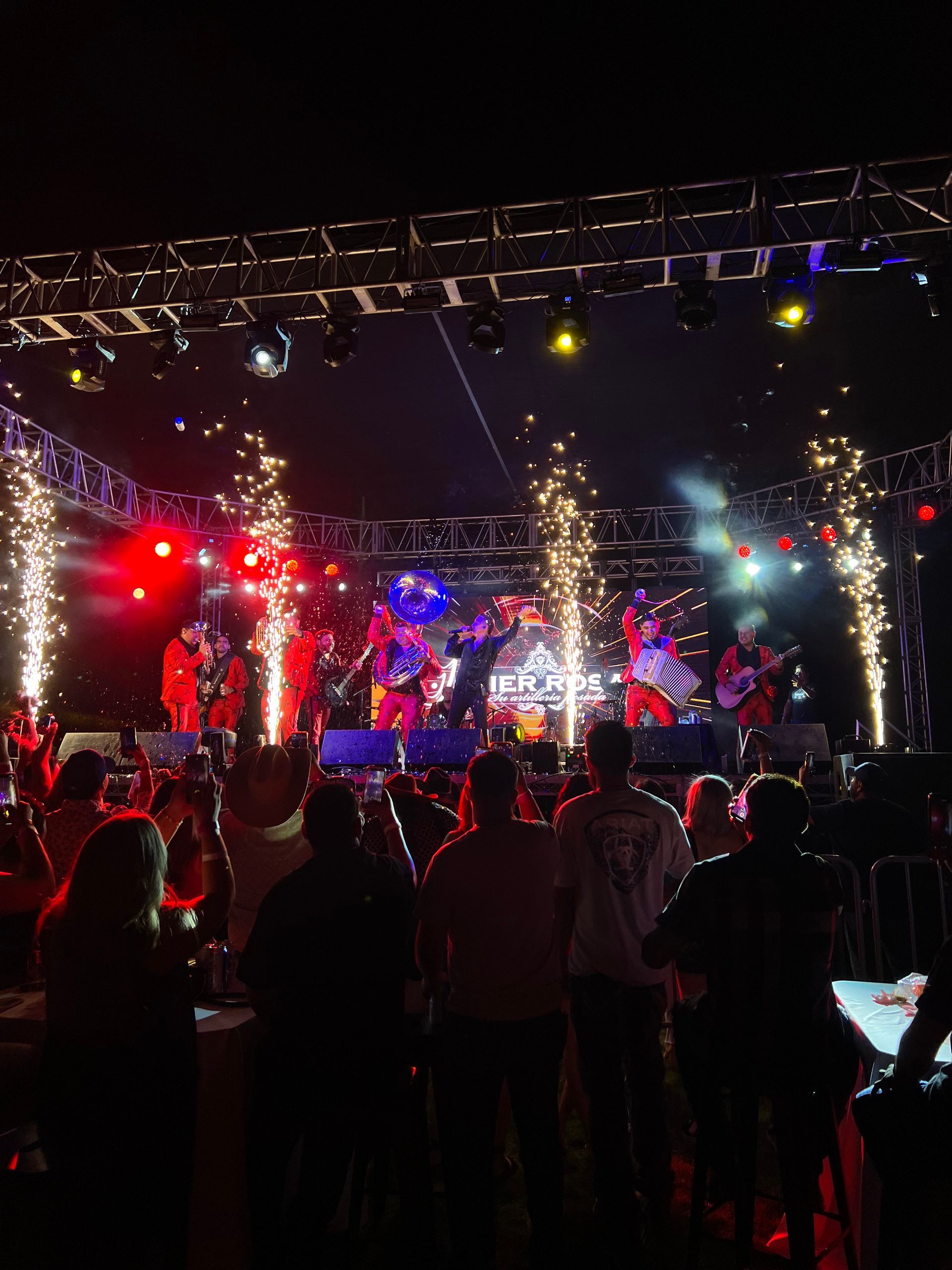 A group of people are standing in front of a stage at a concert.