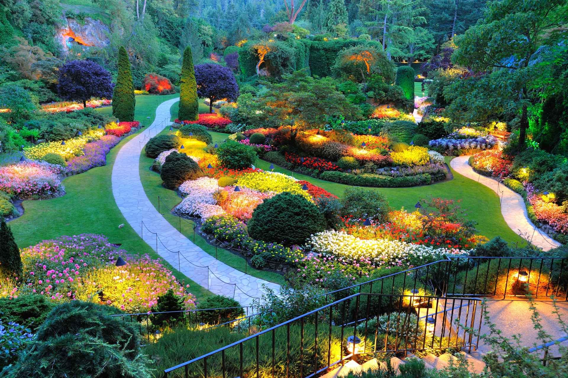 A lush green garden with lots of flowers and trees