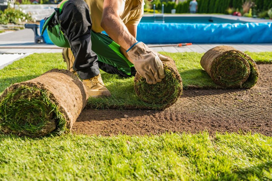 A man is rolling up rolls of turf in a garden.