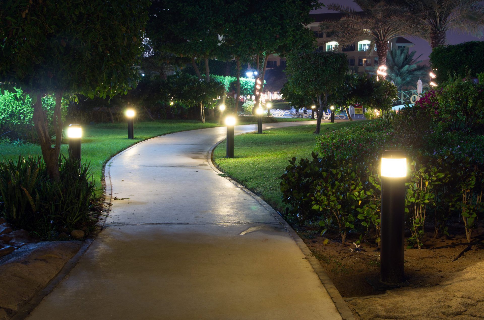 A path in a park is lit up at night.